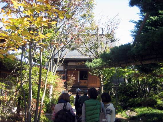 ���i���̒뉀