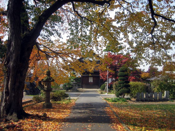 ��暎��̋����̗l�q