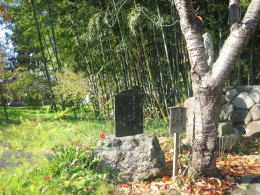 �|�т�w�i�Ɉꒃ�̋��