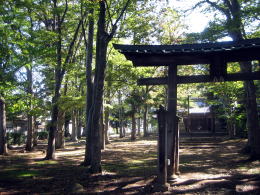 �����_��