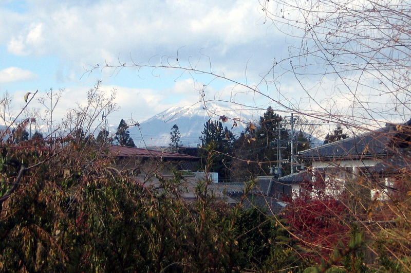 ����̍��P�R