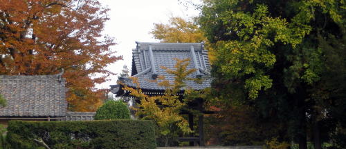 ���_���̏��O�ƌɗ�