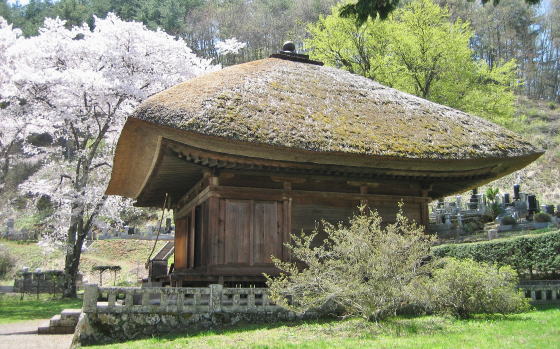 ���T����t��