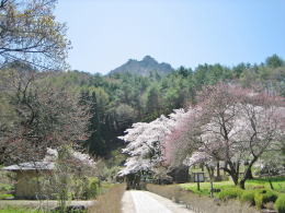 ��ɂ͓ƌ؎R�̎x��