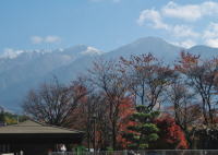 ����̖ؑ\��