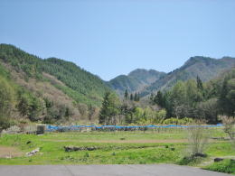 �R�[�ɍL����ʎ���