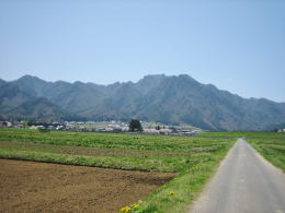 �R�[�̓c��