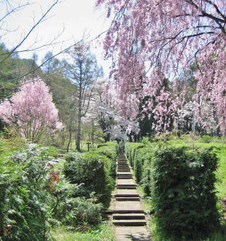 �����@�̎Q��