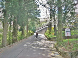 �o�X�₩����ܑ����H