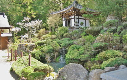 ���ɗn�����񂾒뉀