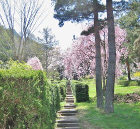 �����@�̎Q��