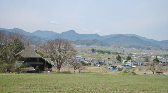 ���c�̓c�����i