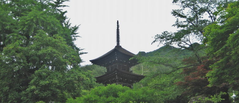 ���c�g�b�v��