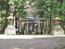 �Γ��Ẳ��ɂ͒����Ɣq�a