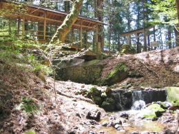 �����𗬂���