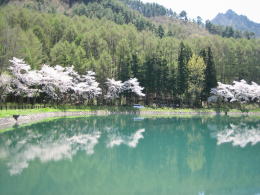 �Ȃɍ����炭����r