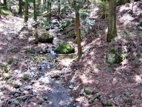 ����_�Ђ̑�