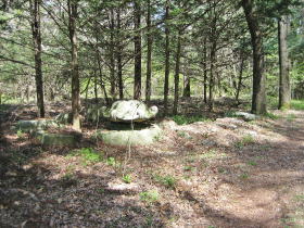 �V�����̓��ĐՁH