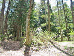 ������������