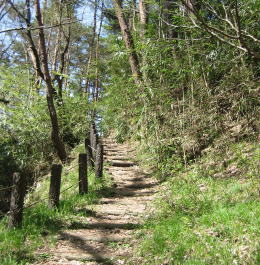 ���������V����