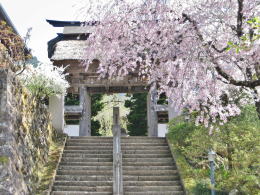 �Βi��o��Ί��ؖ�