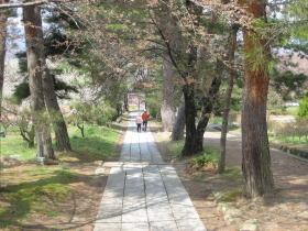 ��t�̍��̎Q��