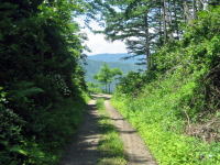 �������̓�