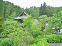 �뉀�ƌ����Q