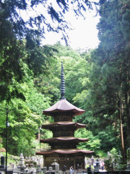 �X�Ɉ͂܂ꂽ��