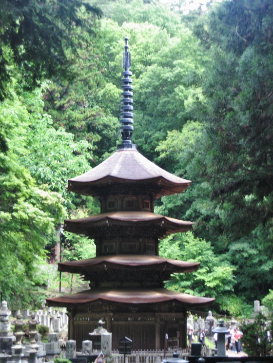 ���������p�O�d��