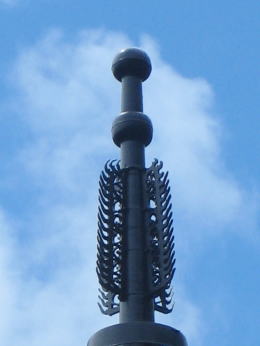 ���Ɛ���