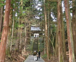 �����؂ƎR��