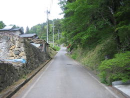 �}�X�΂̎Q��