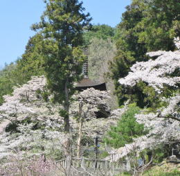 �ԂɈ͂܂ꂽ�O�d��