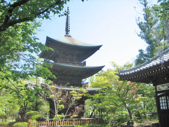 �������O�d��