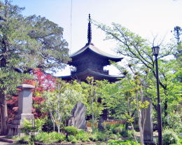 �������O�d��