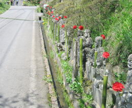 �����l�̗�