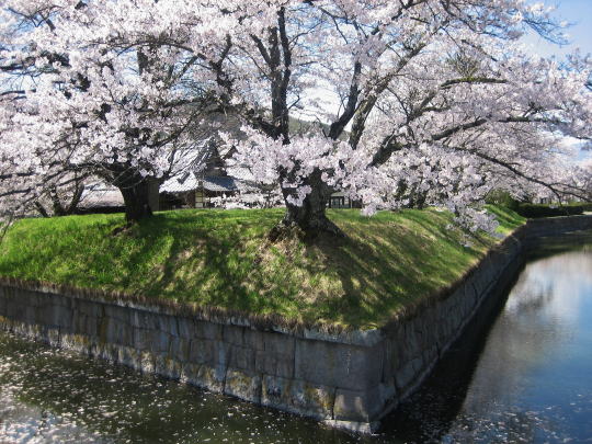 �����隬01