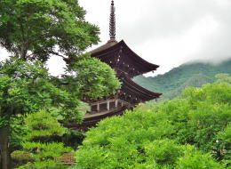 ���̗t���ɂ鍠