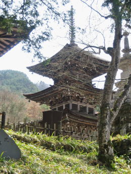 �{���O���瓃�����グ��