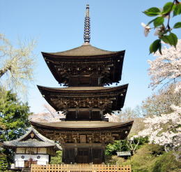 �O�R���O�d��