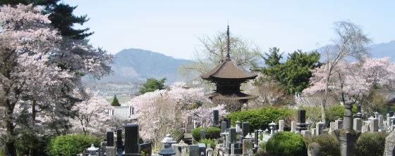 �扑���猩��O�d��